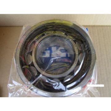 SKF N313 ECP, N 313 ECP Single Row Cylindrical Roller Bearing (FAG,KOYO,NTN,NSK)