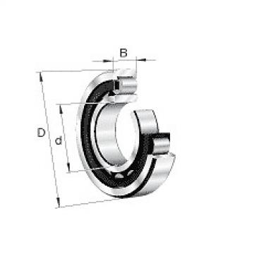 NU2232-E-M1A-C3 FAG Cylindrical roller bearing